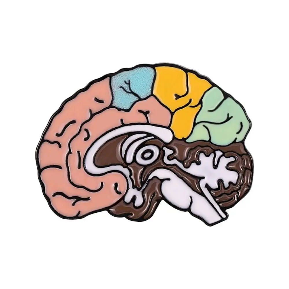 Anatomy Medicine Brain Brooch Delicate Colorful Enamel Lapel Badge Pins Medicine Jewelry