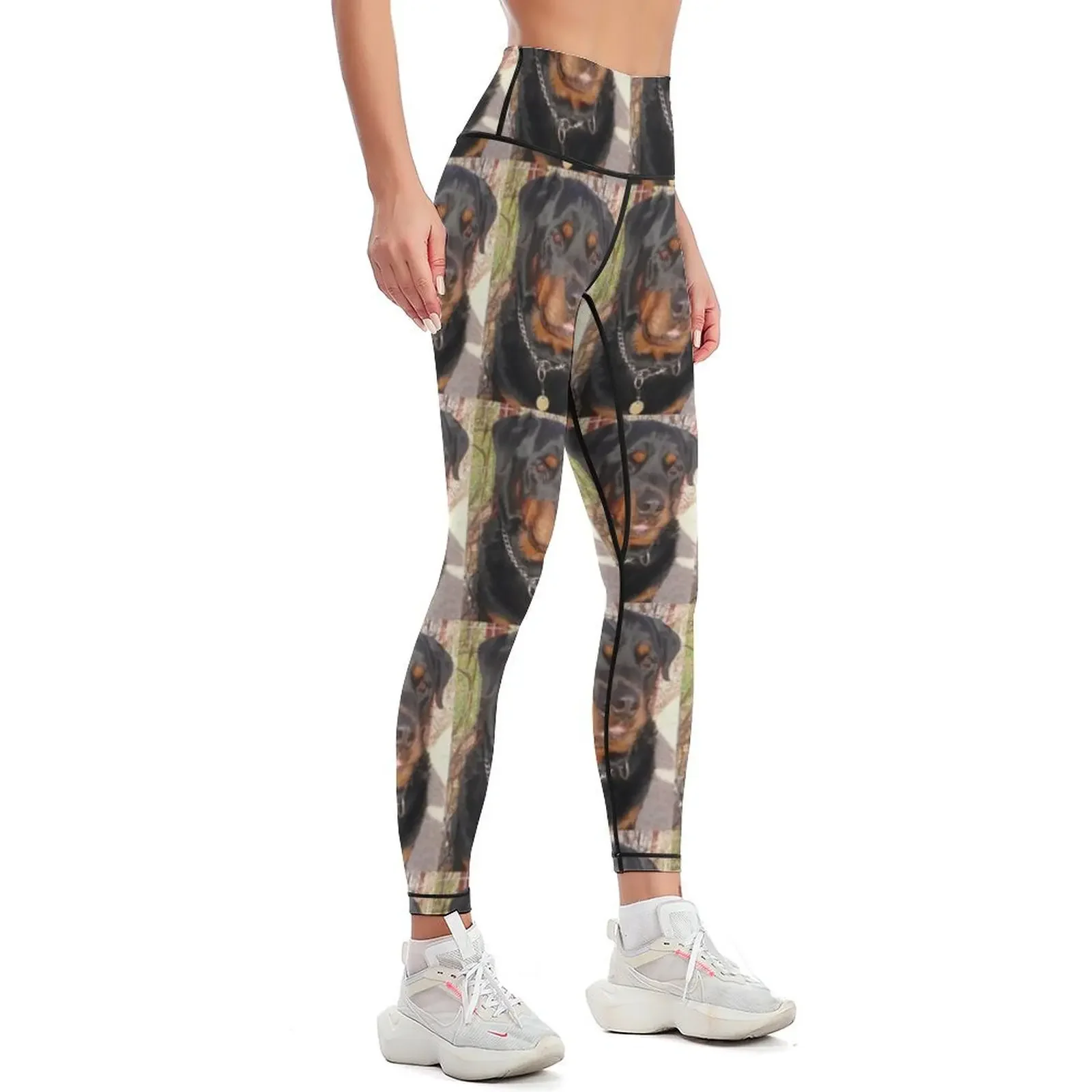 Mature Male Rottweiler Photo Portrait Leggings sports for gym Women's pants sport set exercise clothing for Womens Leggings