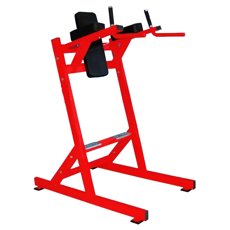 

High Quality Steel Leg Raise Machine at Competitive Price for Gym Use
