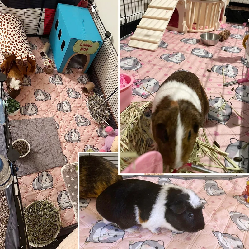 Thumbnail 2 - #27 Small Animal Bedding Price Drop Alerts