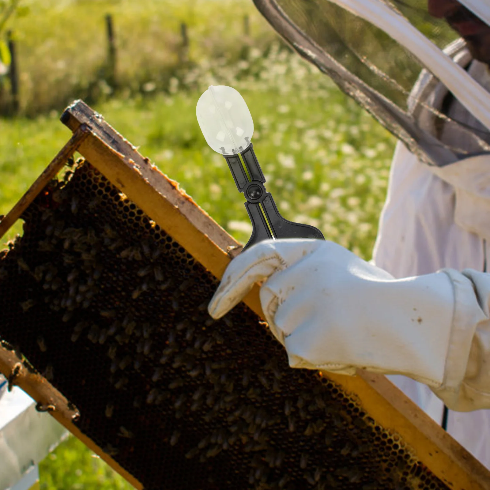 

1Set Catcher Hollow Container Professional Beekeeper Tools Simple Method Safe for Bees Convenient Catcher Clamps