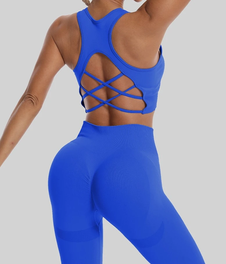 

2PCS Women's Seamless Yoga Set Professional Quick Dry Sports Bra + High Waisted Hip Lifting Leggings Gym Running Set