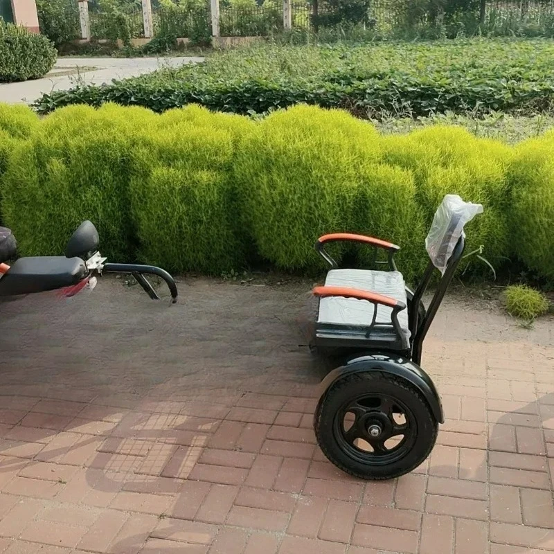 

Bicycle Electric Motorcycle Trailer Rear Outdoor Pet Small Trailer