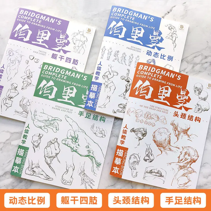 Berryman's Teaching Copy of The Human Body Tracing Book Set mit 4 Büchern, dynamische Skala, Kopf- und Halsstruktur, Skizze für den menschlichen Körper
