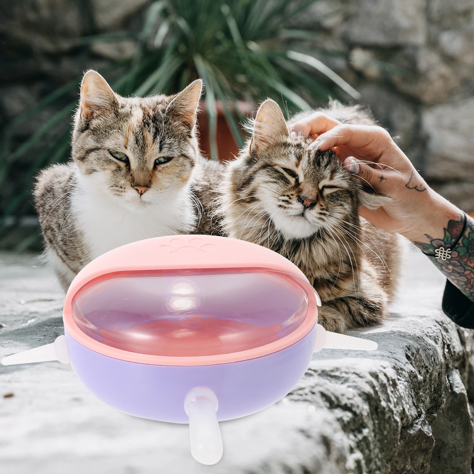 

Pp Bowl Puppy Kitten Feeding Device Durable Lightweight Small Animal Feeder For Newborn Pets Puppy Milk Bowl Pet