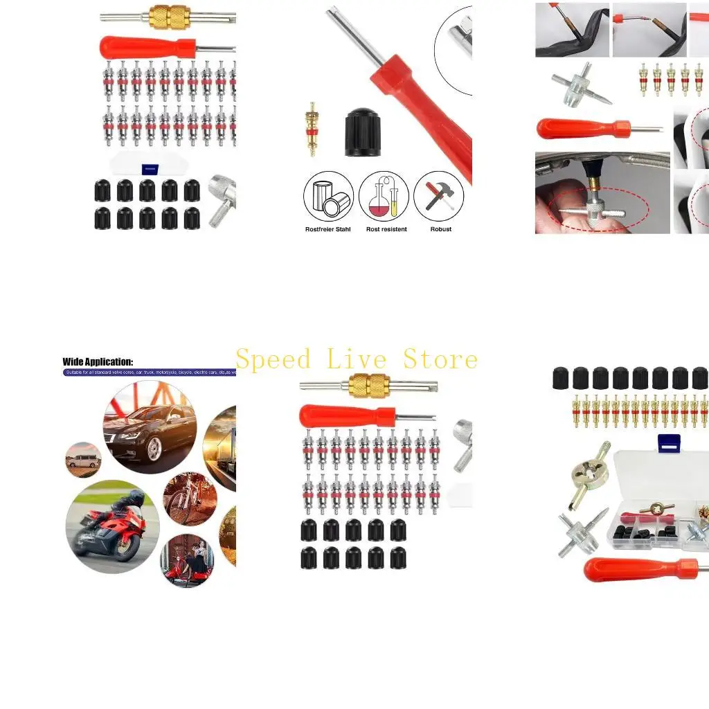 

547C 33Pcs Universal Valves Stem Cores Tool Steel Shafts Plastic Grip Tire Repair set