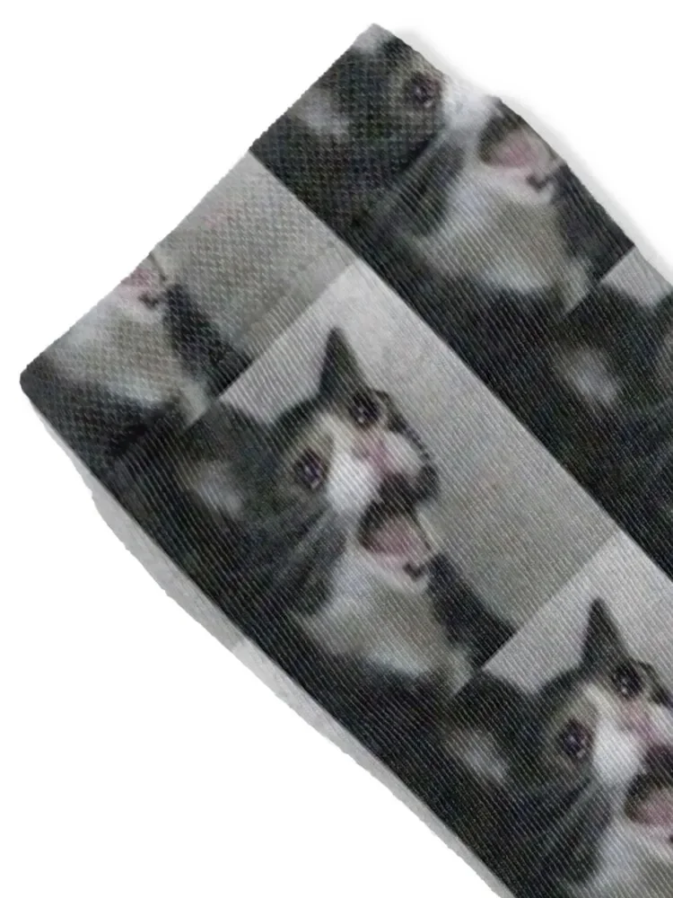 Crying Cat Meme Socks heated happy Boy Socks Women's