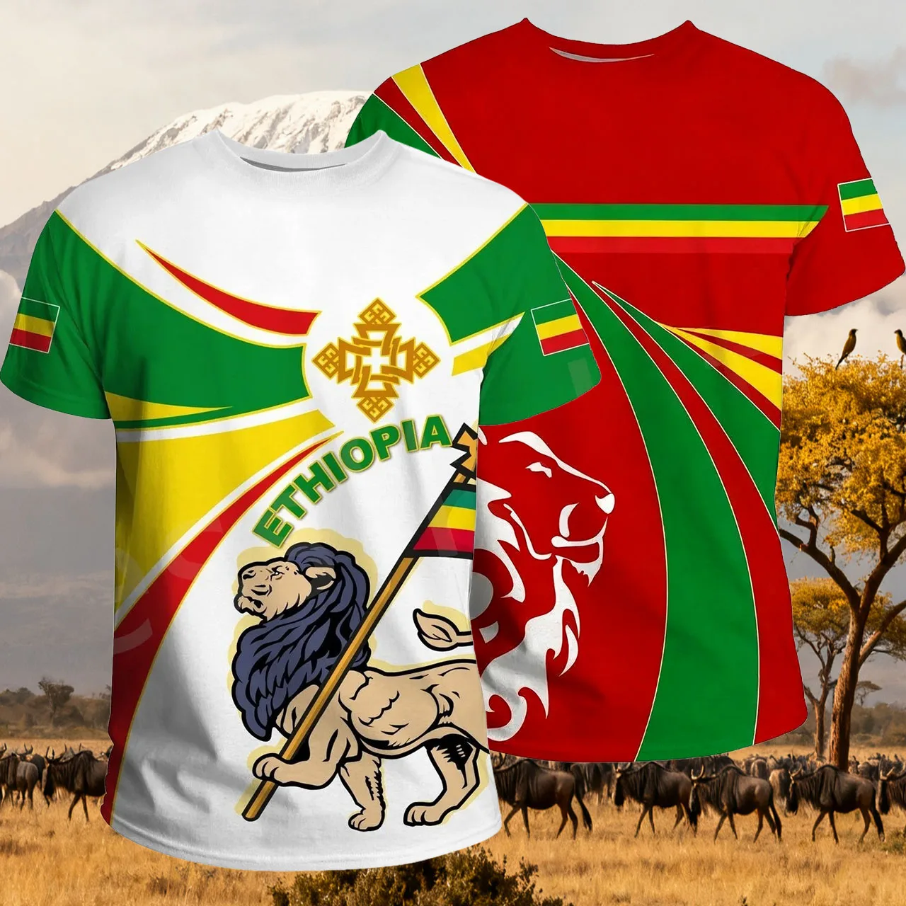 

New Adult/Children's Quick Drying Breathable Football Training Round Neck T-shirt Ethiopia Sports Running Fitness Casual T-shirt