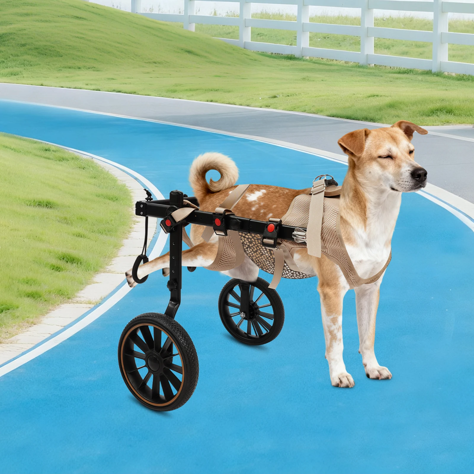 

Dog Rear Leg Rehabilitation Walker, Adjustable Aluminum Frame, 65kg Capacity, Open Crotch for Disabled Pets