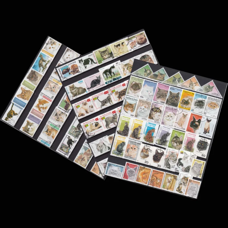 50 PCS,Topic Cat, Different Cat Stamps from Word,No Repeat,Animal Stamp,Used with Post Mark,Good Condition Collection