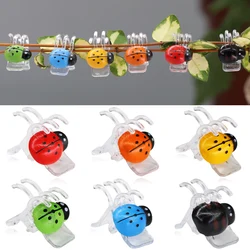 12-48PCS Ladybug Orchid Clips Garden Plant Support Clamp Climbing Flowers Vine Fixer Colorful 5-Claw Ladybird Bonsai Decoration