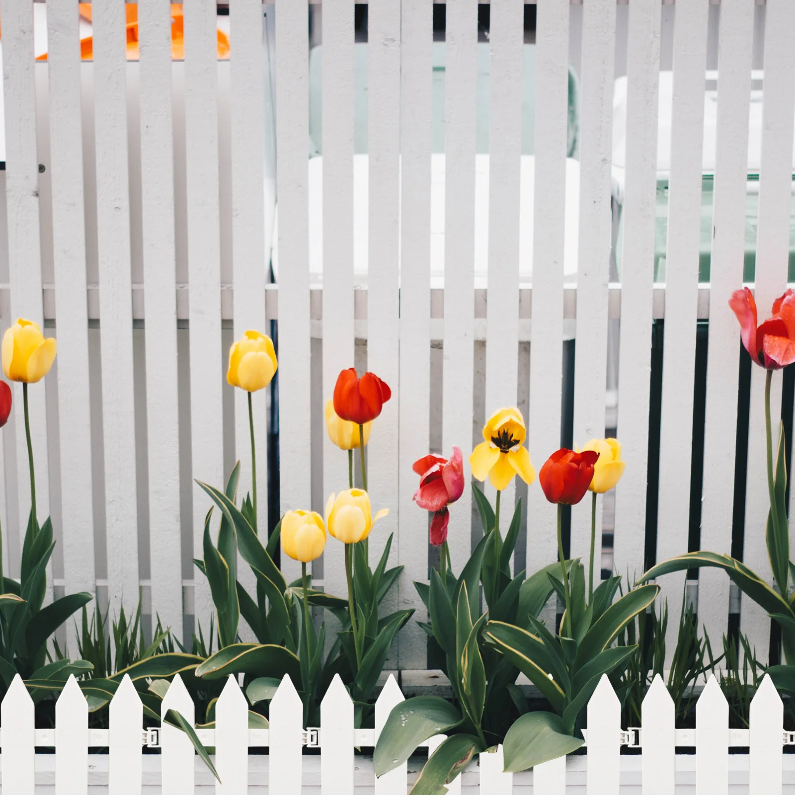 

4Pcs Easy Install Plastic Fence for Landscaping Plant Borders Safe Outdoor Enclosure for Pets Flower Bed Fence