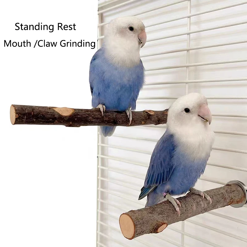 Natural Wood Pet Parrot Raw Wood Fork Tree Branch Stand Rack Squirrel Bird Hamster Branch Perches Chew Bite Toys Stick 1Pcs