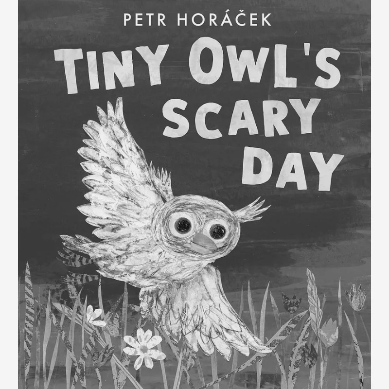 Petr HoracekTiny Owls Scary Day Petr Horacek Walker UK 9781529509274 Book