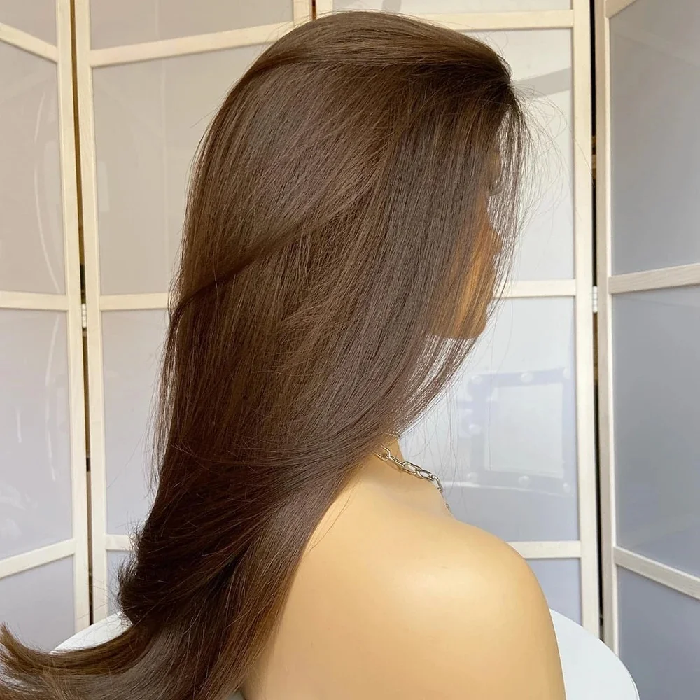 24Inchs Medium Brown Highlighted Lace Front Wig Natural Layered Straight Brunette Glueless Synthetic Hair Wig for Daily Wear