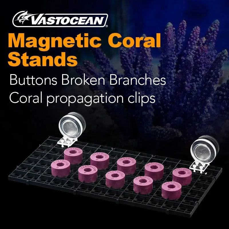 Vastocean strong magnetic acrylic marine tank LPS aquaculture coral holder broken branch button leather holder SPS broken branch