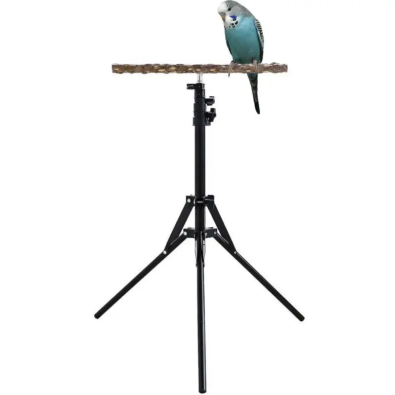 

Adjustable Bird Perch Stand 15.74-61.81inch Height Adjustable Parrot Stand Natural Wood Parrot Perch Toy Bird Training Perch