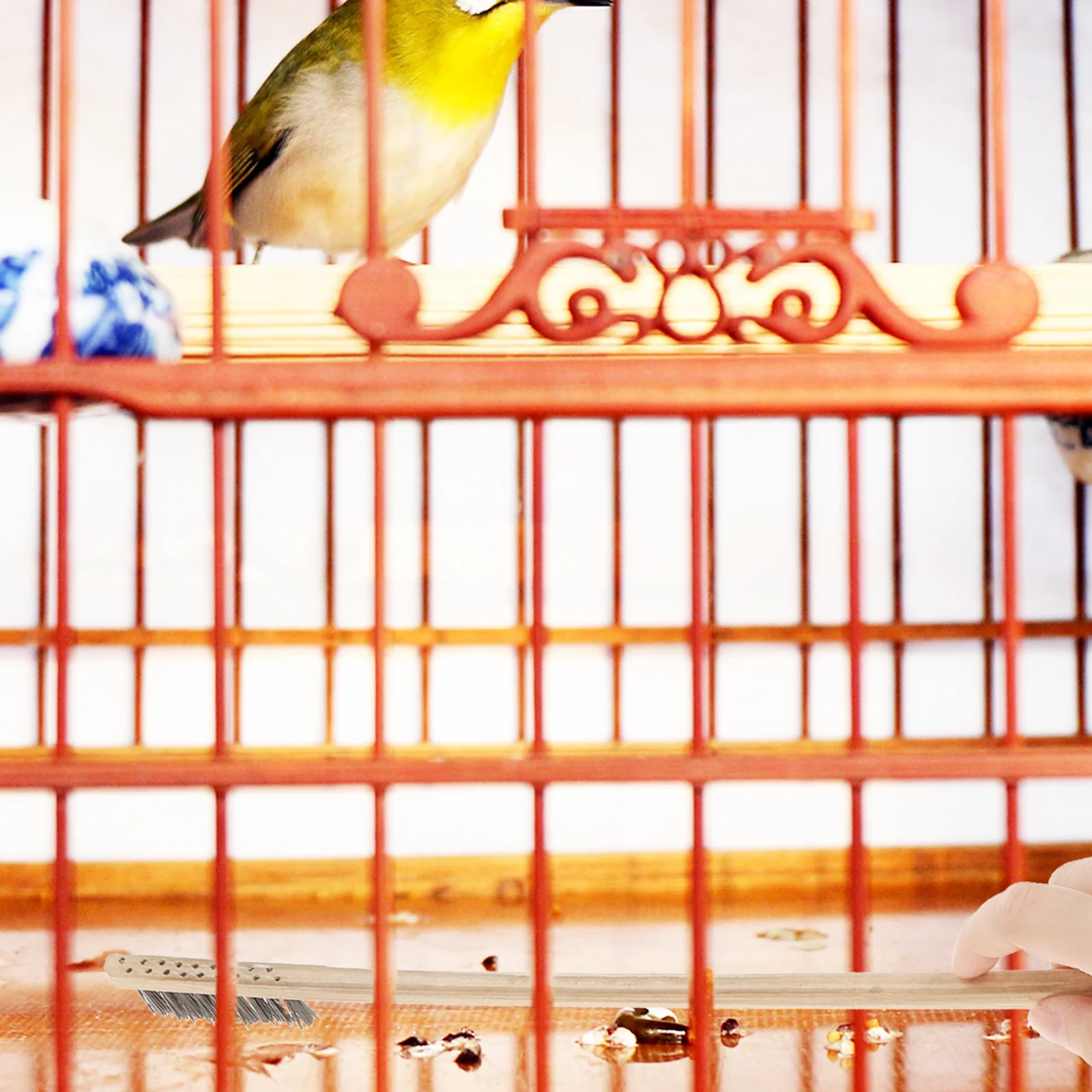 

2Pcs Bird Cage Cleaning Brush Shovel Set Adjustable Telescopic Handle Pet Parrot Cage Tools Convenient Daily Use