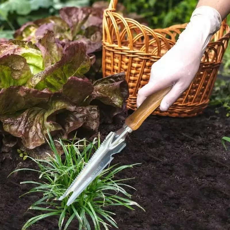 1 stuks roestvrijstalen onkrui - Gardening Tools For Digging recensie en prijs