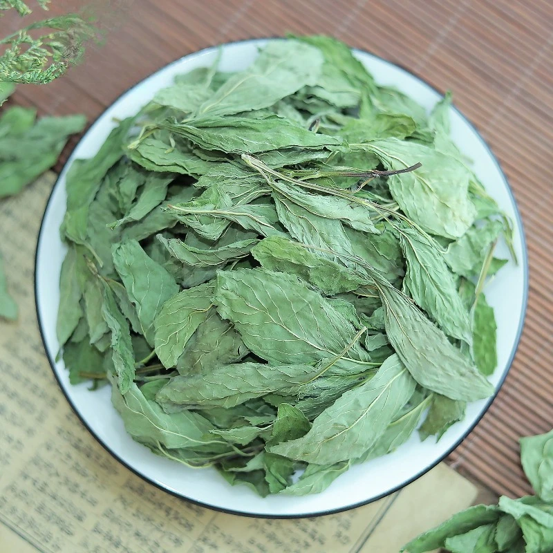 أوراق النعناع الجديدة