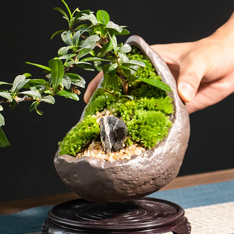 Chiński fioletowy piasek Half Moon w kształcie doniczka do Bonsai, kwiat roślina, doniczka na sukulenta, Vintage wystrój domu salon, dekoracja stołu