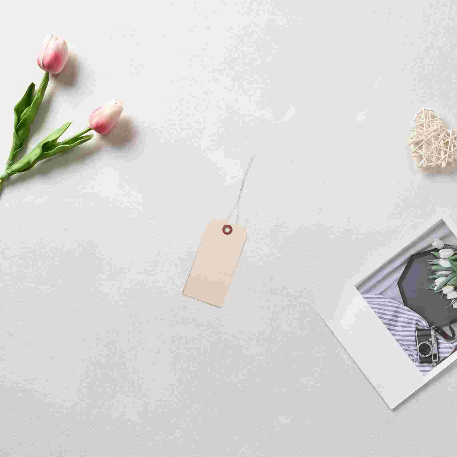 100 pcs Shipping Tags Packaging Wired Tags Manila Wire Tags Blank Tags with Iron Wires manila tags manila wired tags