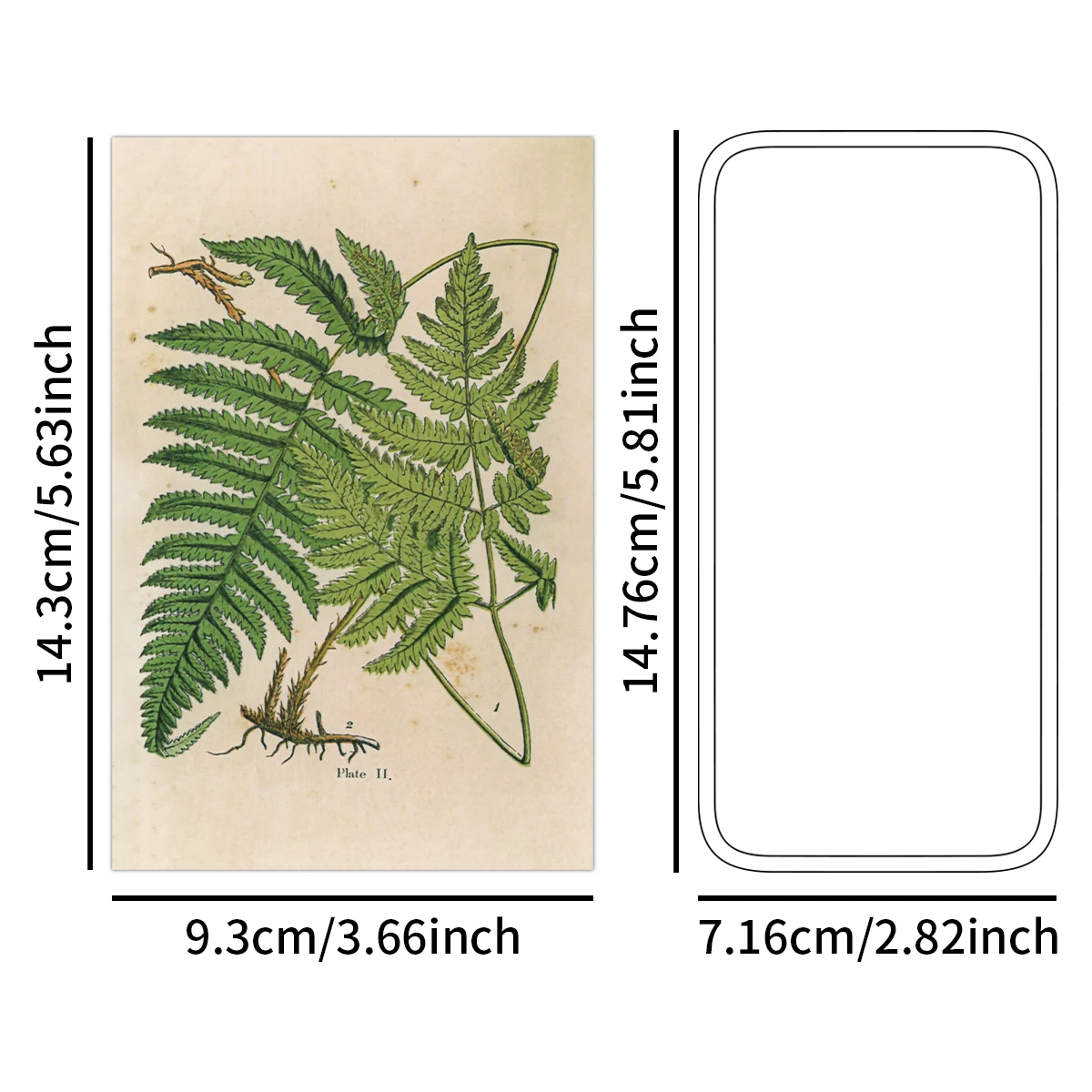 Thumbnail 3 - #81 Best Selling Post Cards