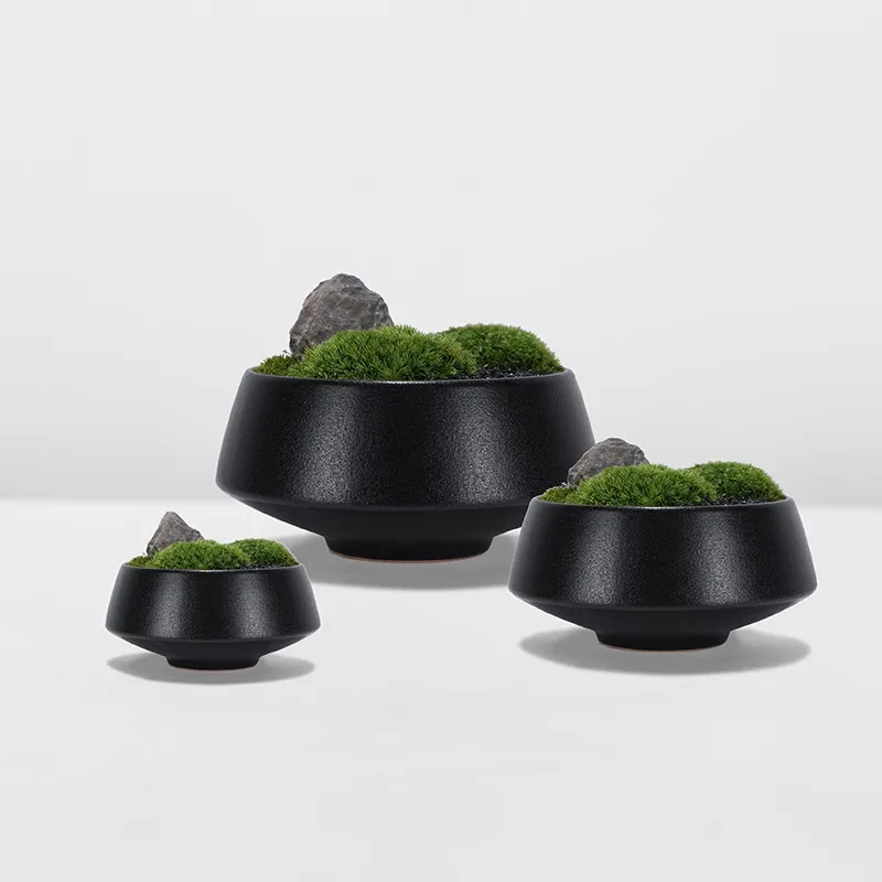 New Chinese Style Eternal Moss and Green Plants Microscopic Scenery Negotiation Table, Book Table, Tea Table, Table Decoration