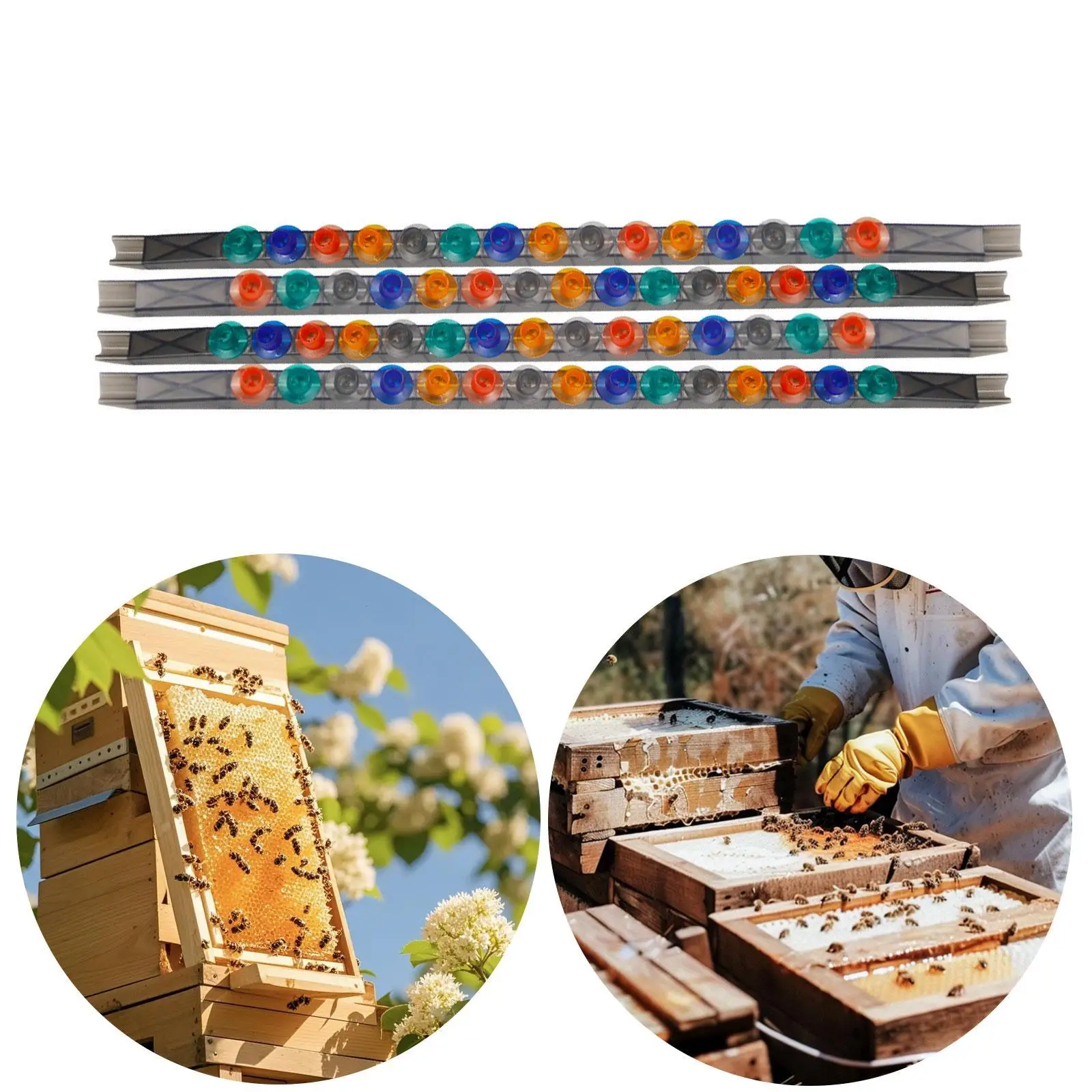 

4 Pieces 15 Holes Rearing Cage Box Queen Bee Cell Cup Bar Kit for Apiculture