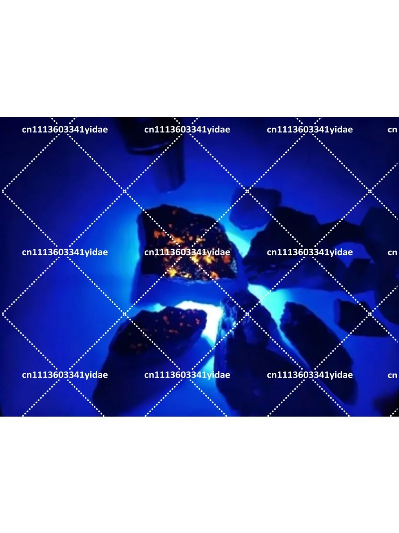 UV Black Light Flashlight 365nm 395nm ZWB3 Lamp Long Short Wave Mineral Detection view 2
