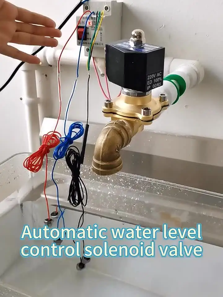 Elettrovalvola Automatic Water Acqua e vapore — dettaglio 1