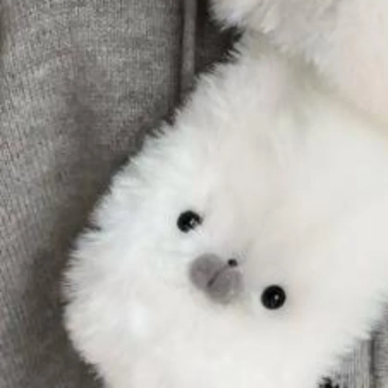 

Cute Winter Seal Earmuff Scarf Children Student Cross Fur Scarf Gloves Set Neck-protecting Kawaii Girls Outdoor Warm Plush Scarf