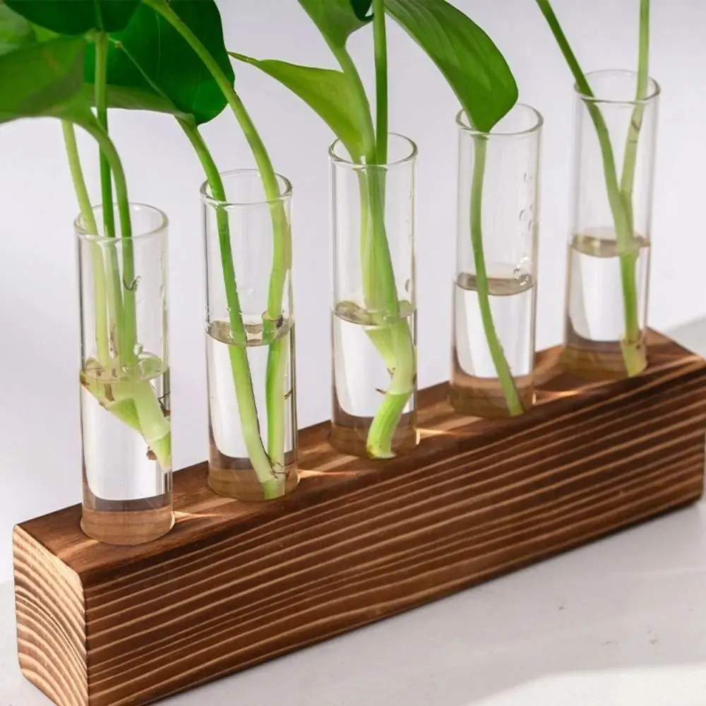 Wooden Stand Hydroponic Vase Transparent Test Tube Shape Hydroponic Plants Container Minimalist Creativity Flower Vase