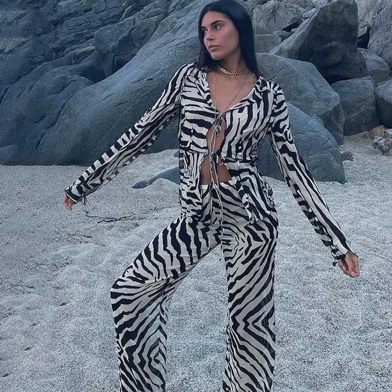 Animal Print Mesh Sheer Stripe Tie Front Detail Top Matching Sets Fashion Outfits 2 Piece Sets Holiday Beachwear Y2k Pants