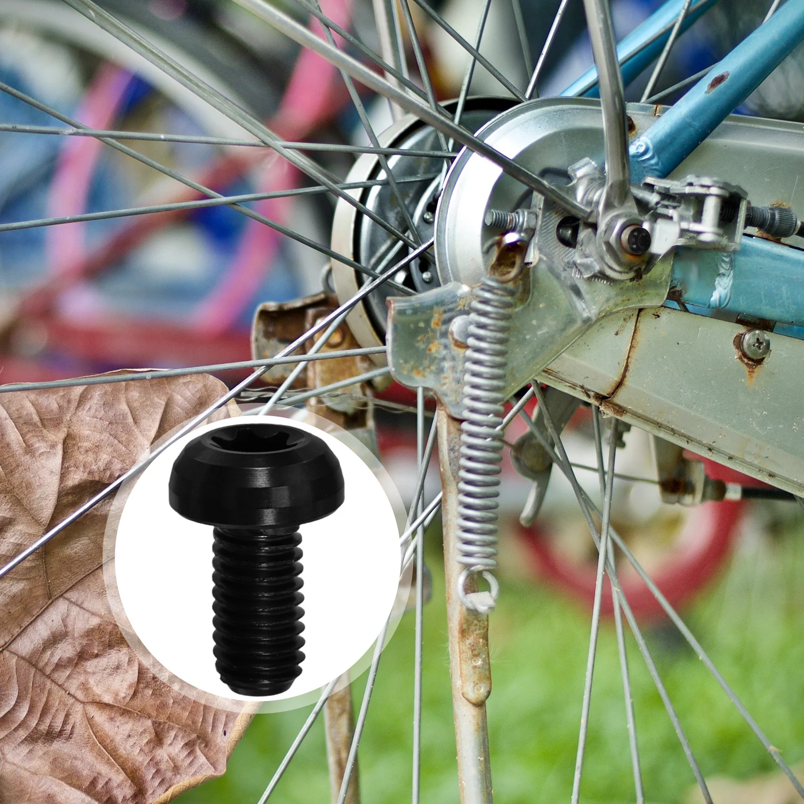 12Pcs Disc Bolts Pvd Coating Durable Practical Eva Box Storage Fixing Brake Disc Screws Fixing Screws