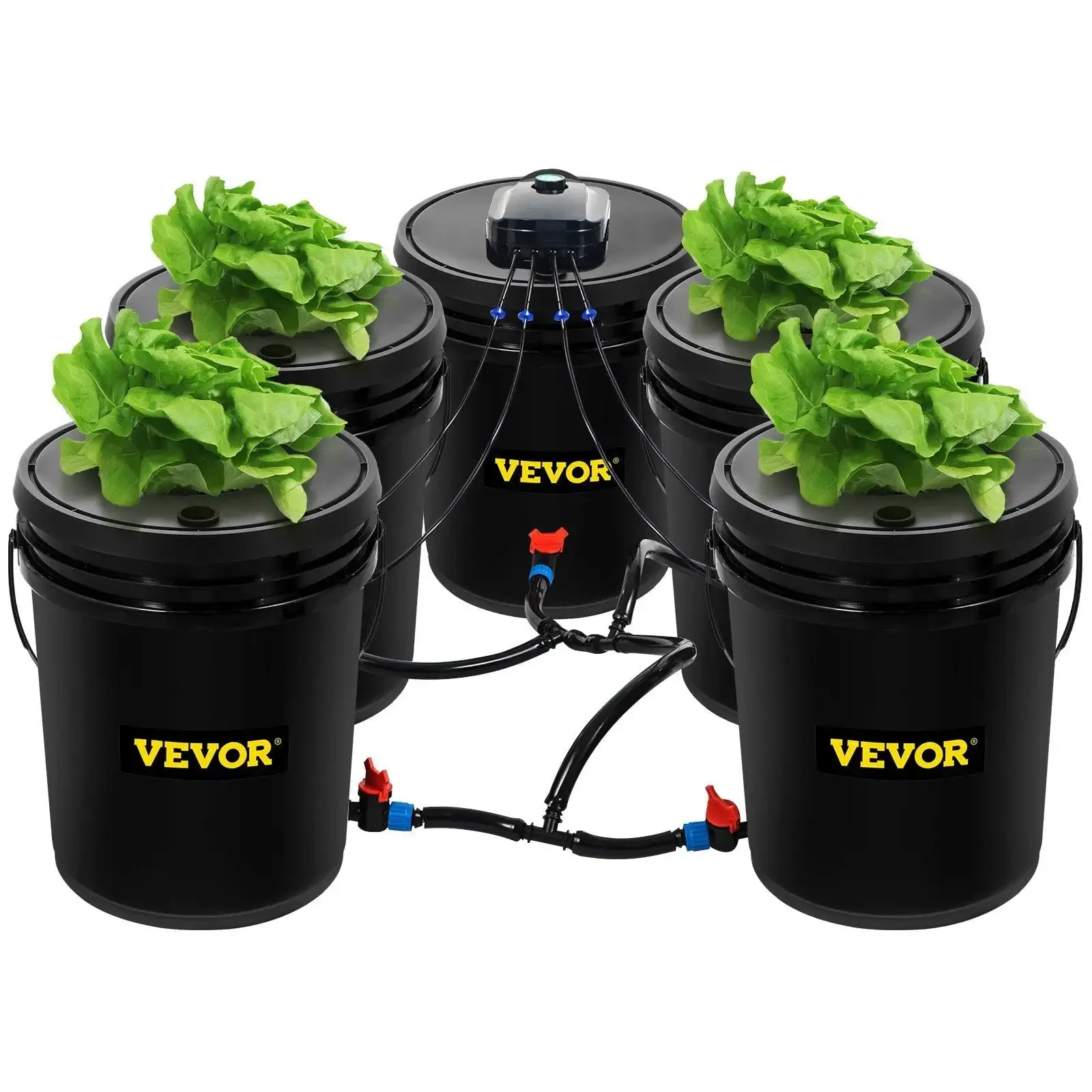 

Hydroponics Deep Water Culture DWC Hydroponic System 5 Gallon 5 Buckets