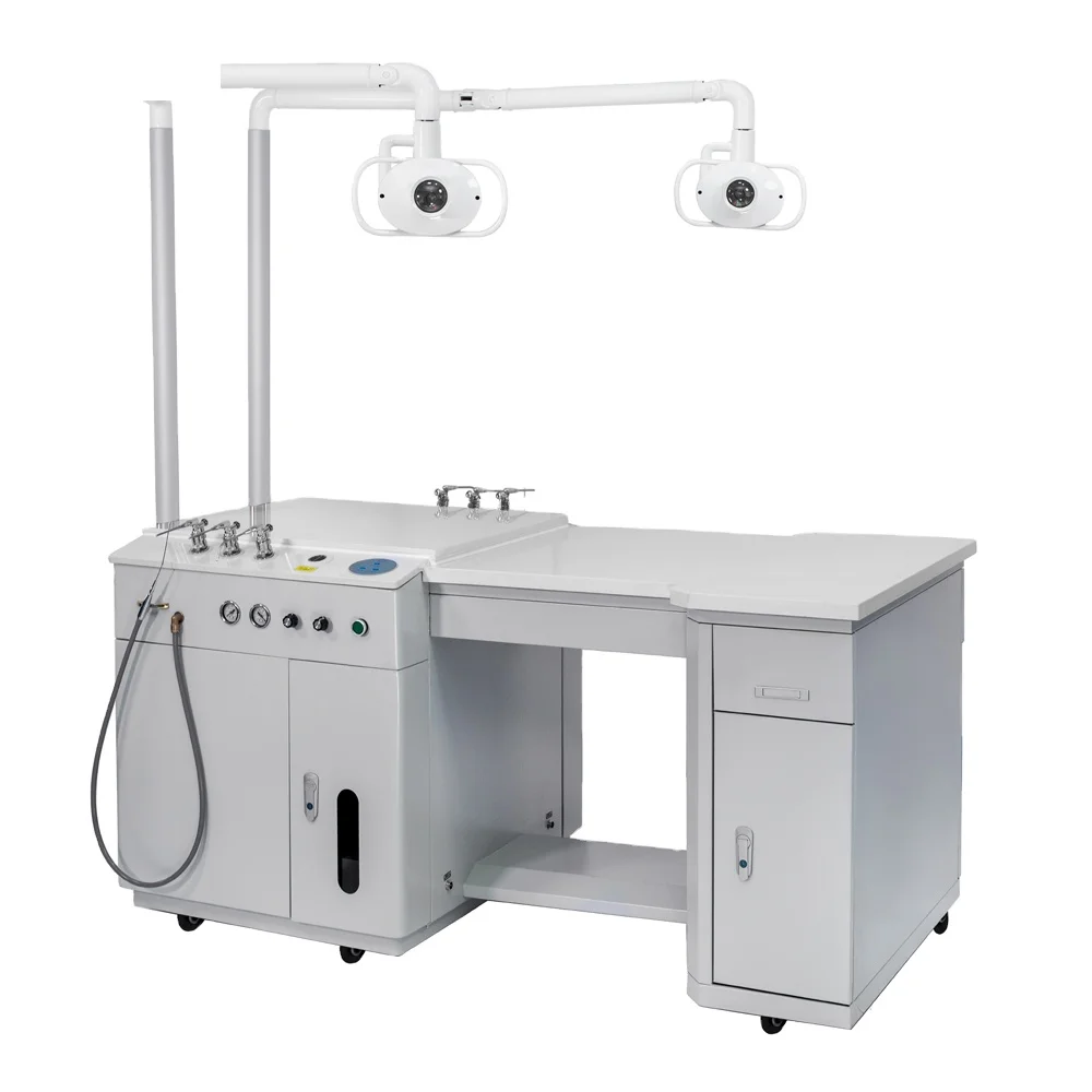 Double work position ent units / ENT  treatment unit / ENT examination unit with endoscope video