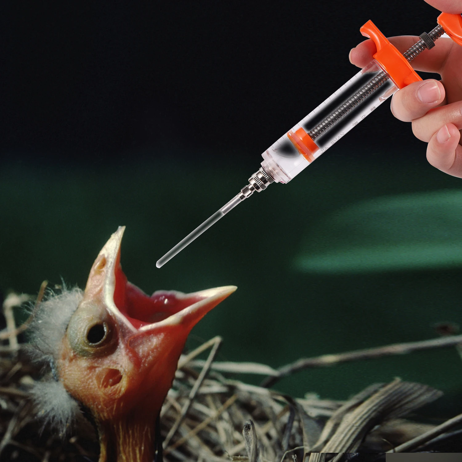 Pet Bird Pigeon Parrot Liquid Medicine canary Feeder Push Tube Liquid  chick Feeder  Silicone Push Tube Syringe