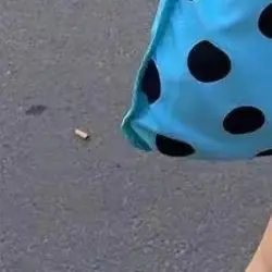 

Fashion Blue Polka Dot Shoulder Bag Korean Simple Underarm Bag Female Versatile Large Capacity Tote Bags Canvas Handbag