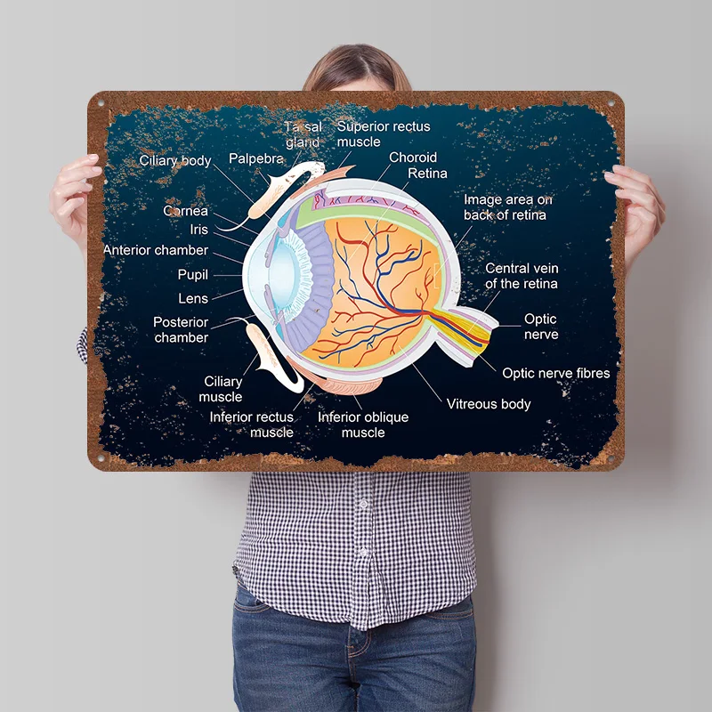 Human Eye Anatomy Printed Poster Customized Wall Art Retro Vintage Metal Tin Signs for Room Decoration Bedroom Decorations Decor