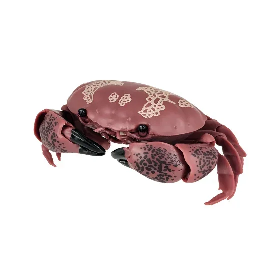 Bandai Gashapon Toys Crab Gashapon Series Simulation Model Crab Action Figure Ornaments Toys for Christmas