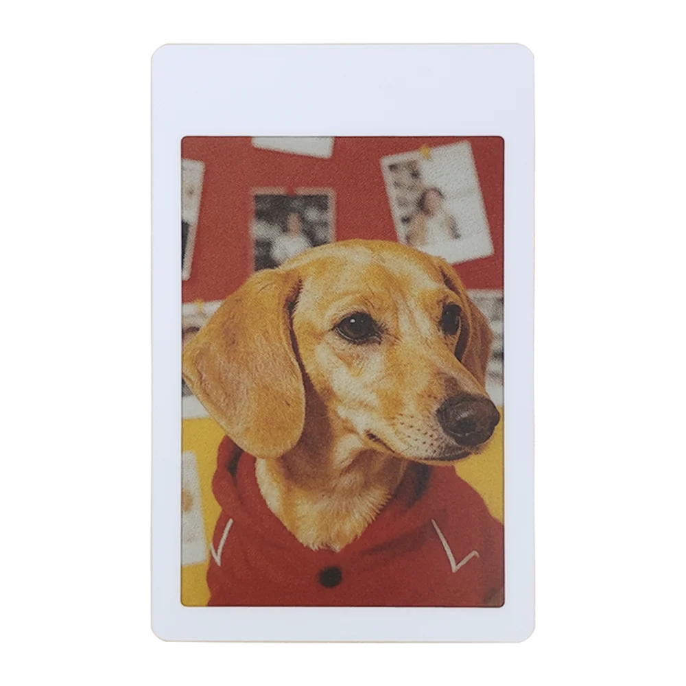 3.68'' Fridge Magnet E-Ink Screen 6-Photo Cycle Display 4-Color E Paper Digital Photo Frame IP68 Waterproof for Home Office
