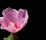 

52V 14S4P battery pack 14000mah 18650 Lithium Battery with BMS for Balance Car, Bike, Scooter, Tricycle