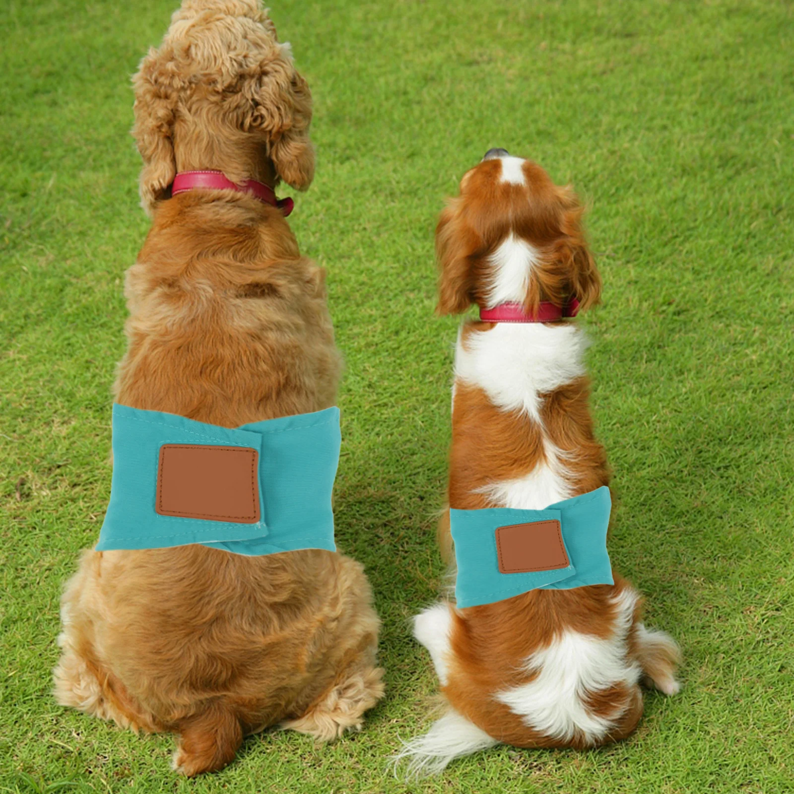 

1 Unit Dog Physiological Pants Reusable Cotton Male Dog Diaper Sanitary Wear for Estrus Incontinence Floor Protection Size M