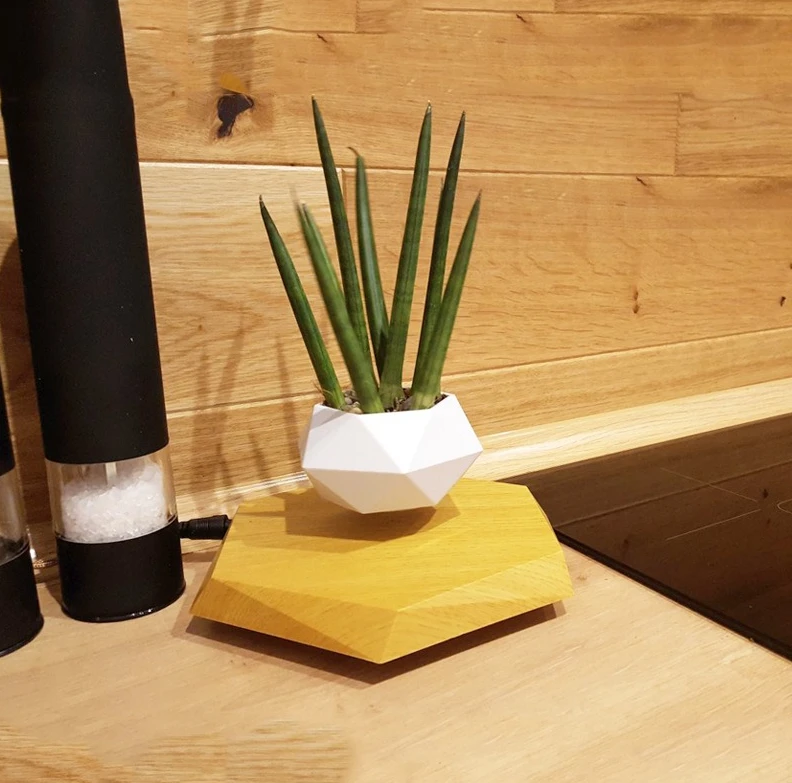 Magnetic Levitation Potted Plants New and Unique Flower Pots Creative Potted Plants, Handicrafts, Gifts, Living Room Decorations
