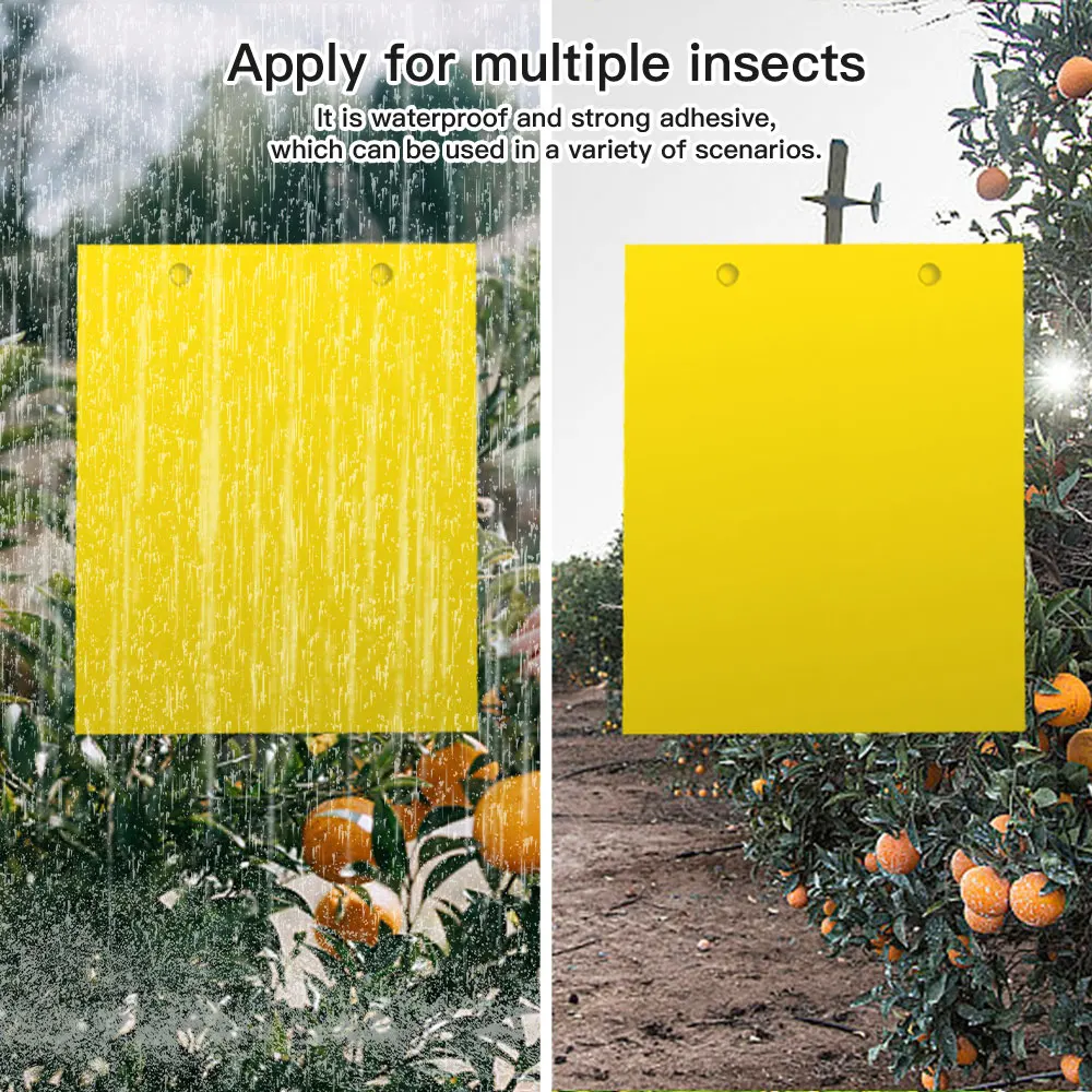 30/50pcs Yellow Double-sided Greenhouse Sticky Traps - Catch Multiple Flying Insects Instantly!