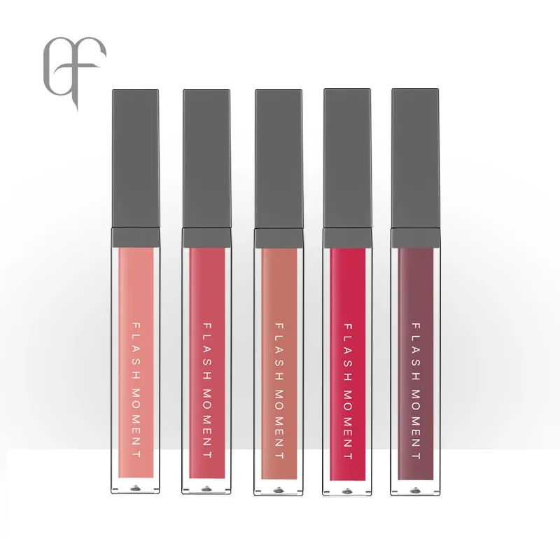 Pudaier maquillage 16 couleurs mat brillant à lèvres teinte Batom brillant à lèvres liquide rouge à lèvres imperméable cosmétiques Kit pour les lèvres tache rouge velours