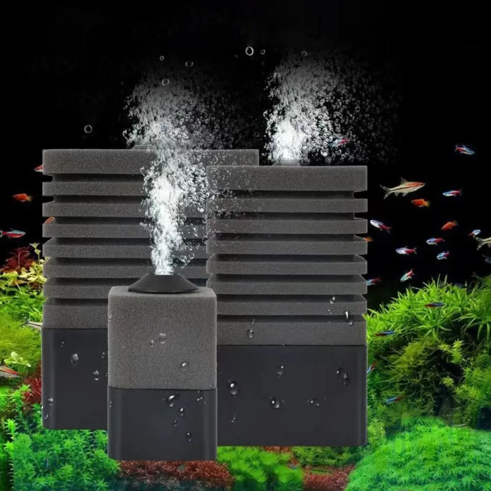 3 In1 Bio Sponge Fi…