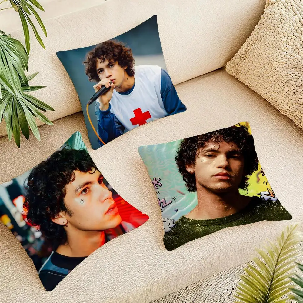 Singer D-Dominic Fike Cushion Cover Organic Linen Square Pillow Case Durable Non-Allergenic And Kind To Skin