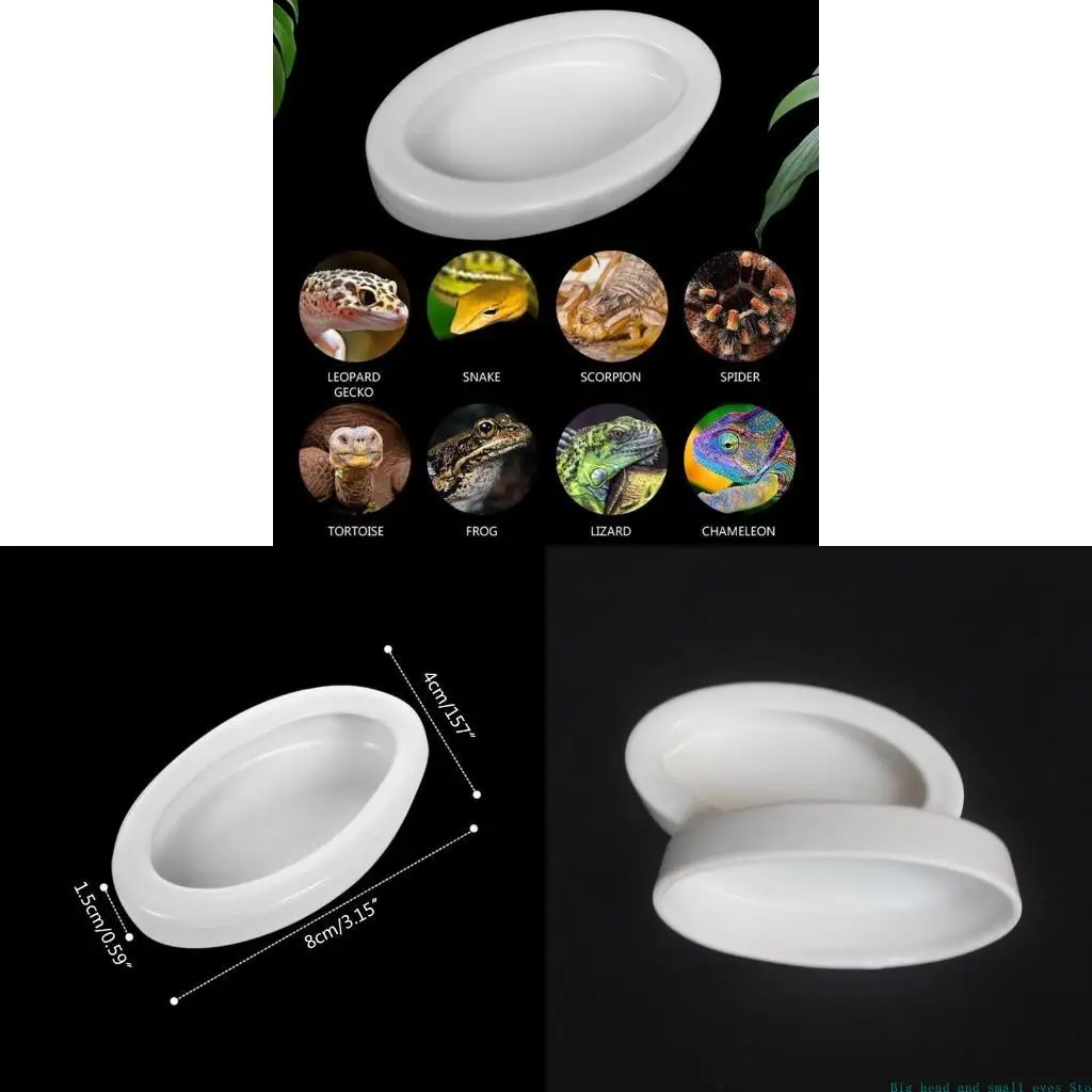 581C Worm Feeding Feeder for Lizard for Turtle Bearded Dragon Leopard
